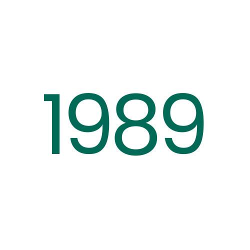 1989 icon