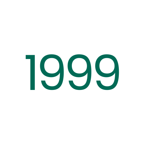 1999 icon