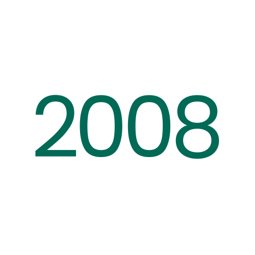 2008 icon