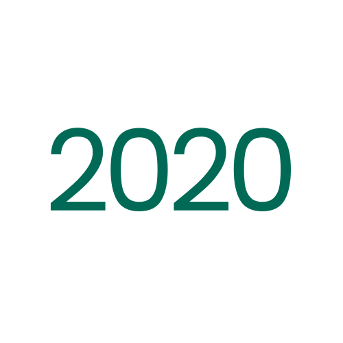 2020 icon
