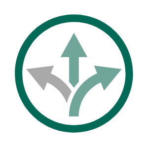 Multivector Icon