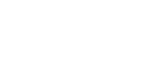 Microsoft White Logo