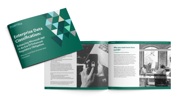 Enhancing MIP Guide Image