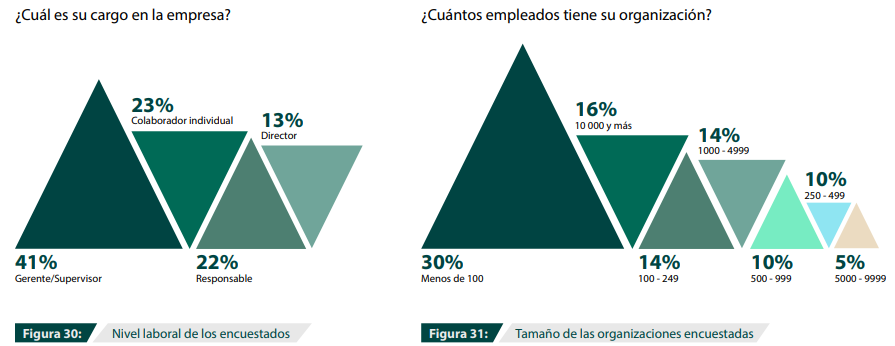 Figura 30 y Figura 31