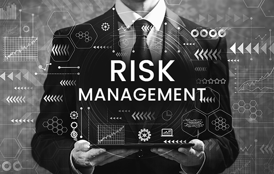 Risk management image