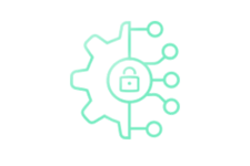 Vulnerability Management
