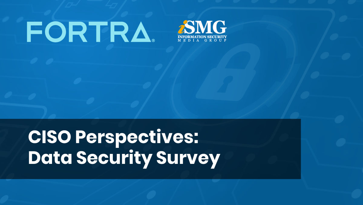 CISO Perspectives: Data Security Survey