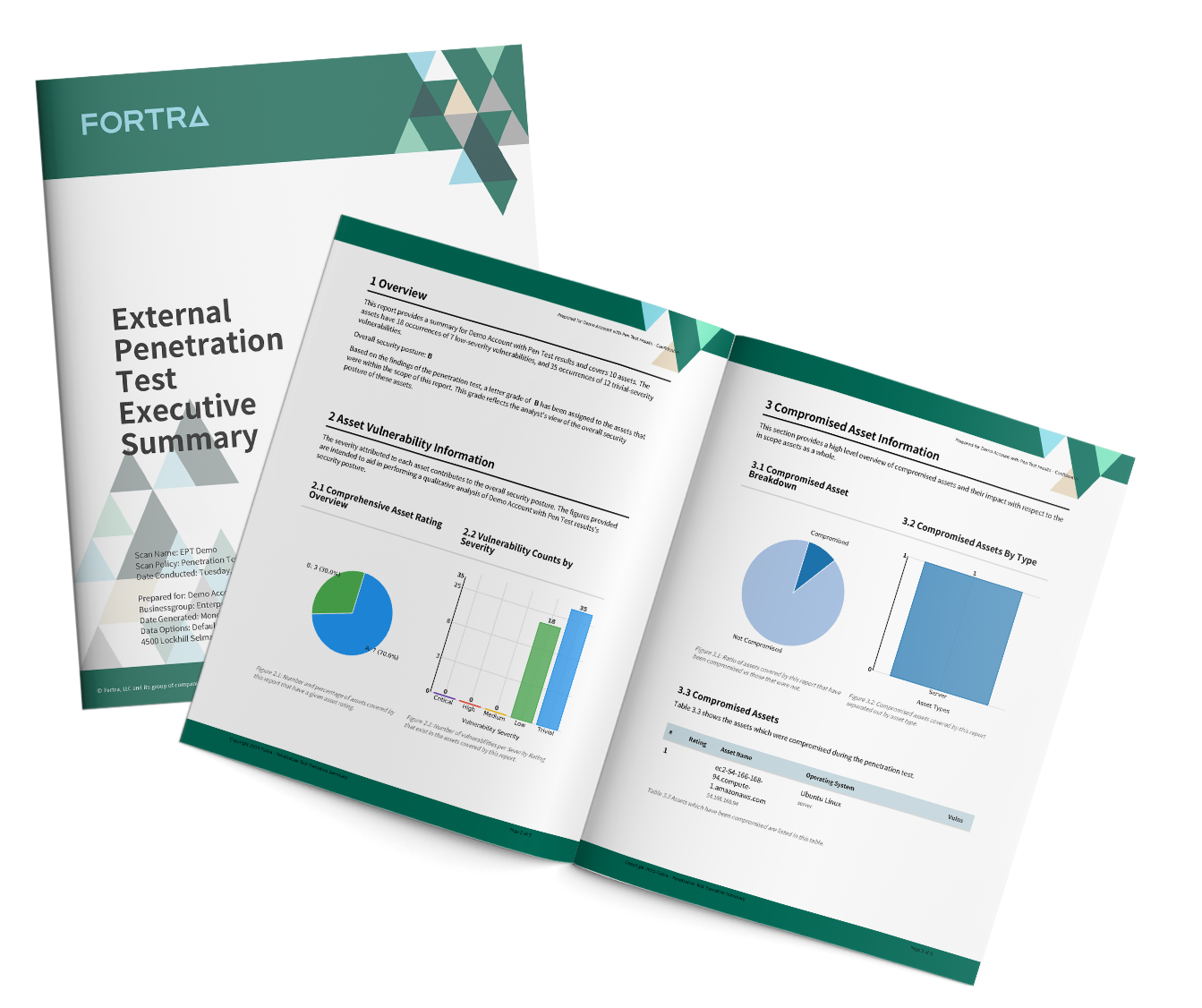 Sample external penetration testing services report