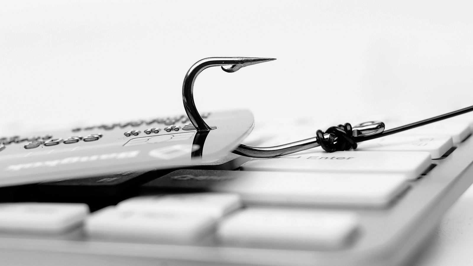 a fish hook stealing a credit card