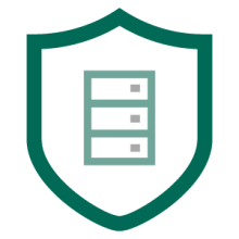 an icon showing strong cyber attack defences