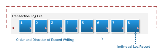 Writing Records to a Transaction Log