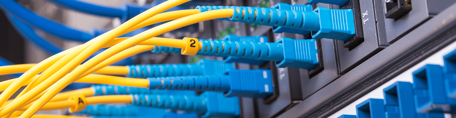 Halcyon Improves JD Edwards System Manageability for ERP Suites Fortra