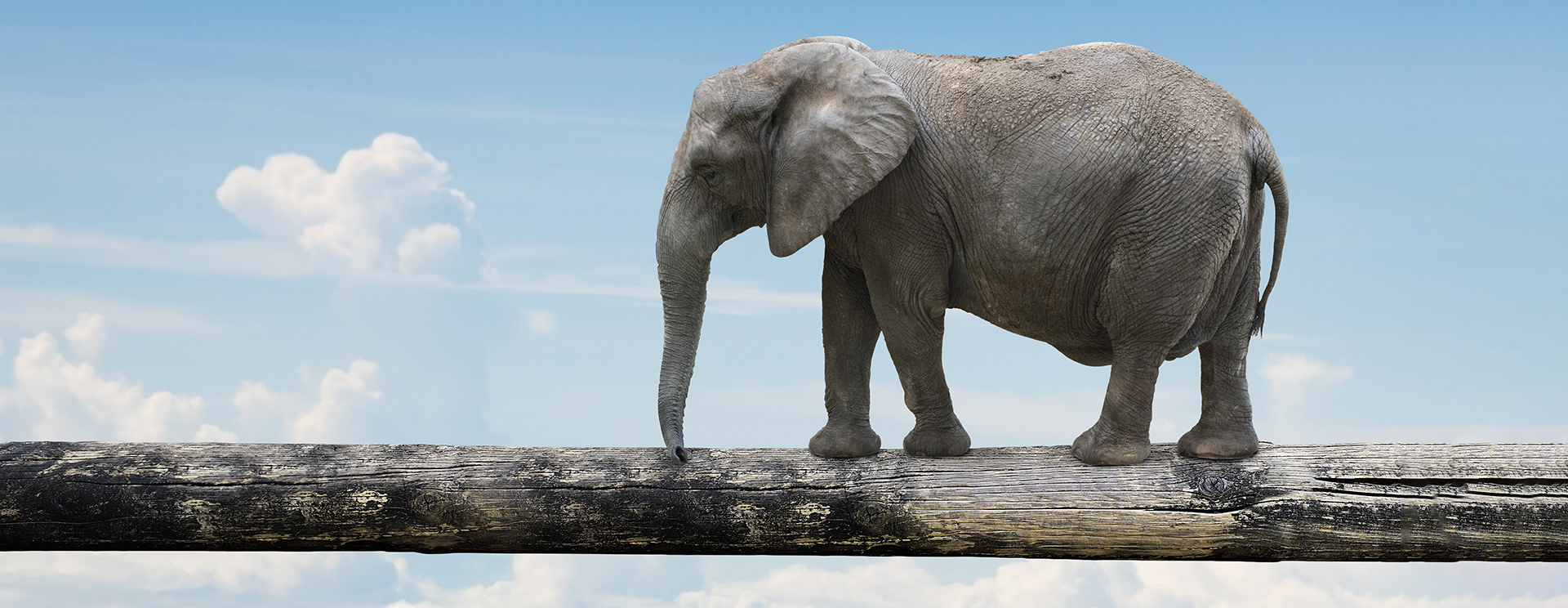 Privileged Users and the Cloud Privileged Users and the Cloud