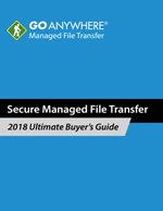 The Ultimate Guide to Investing in Secure File Transfer Software The Ultimate Guide to Investing in Secure File Transfer Software
