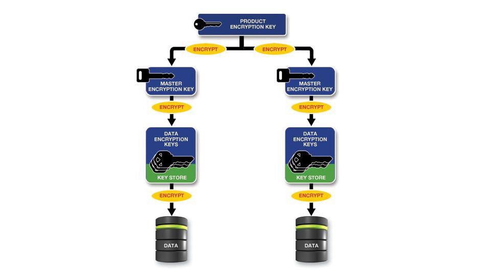 Key Management Encryption Key Management Encryption