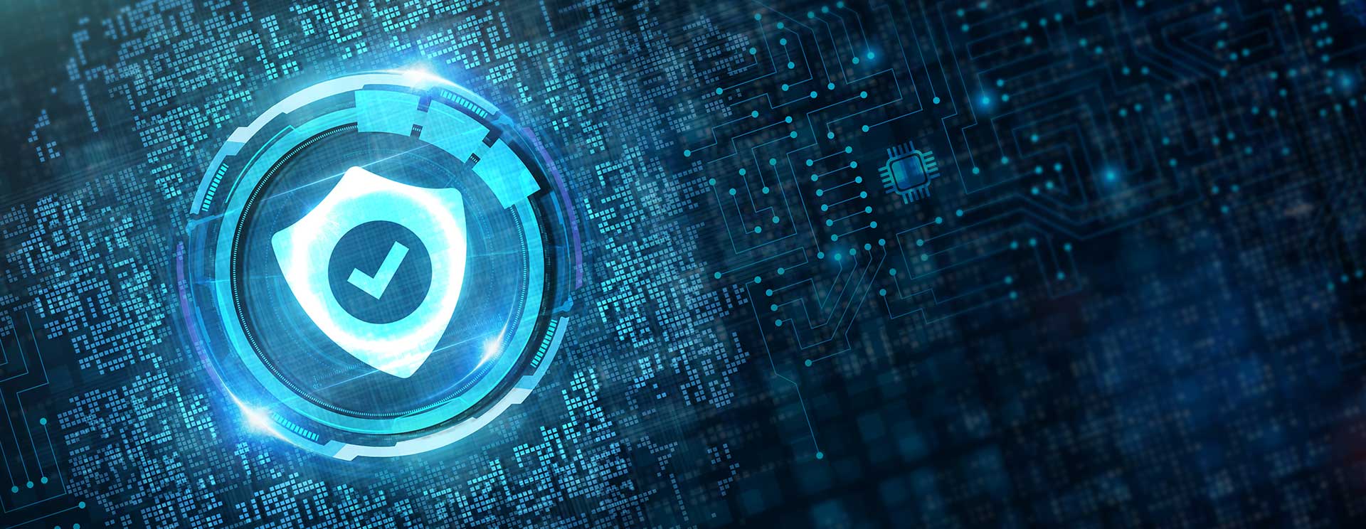 What Are Data Security Solutions and How Do They Work