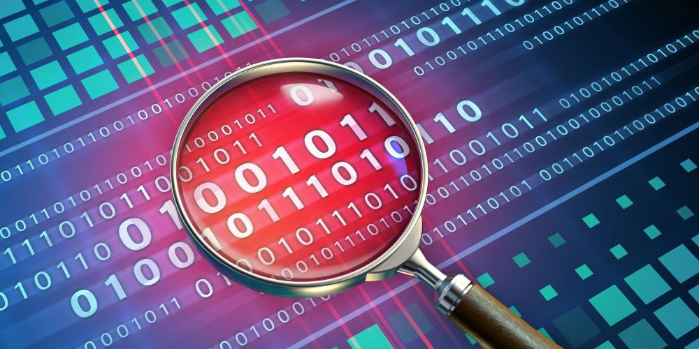 Who Performs Penetration Tests?