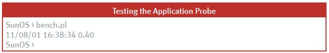 application probe for Oracle query