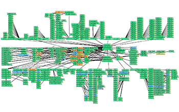Network Map Example: Education 