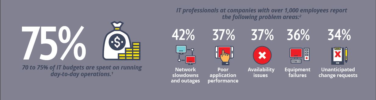 Problem areas It professionals report these problem areas