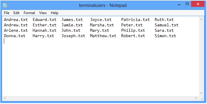 Action Properties Window - Terminal users window 