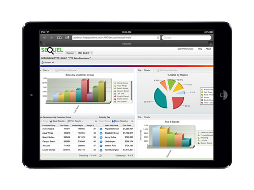 Executive dashboards help you take the temperature of your business