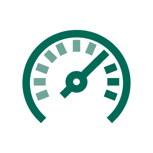 am-high-performance-icon-300x300