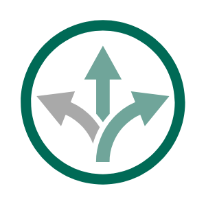 Multivector Icon