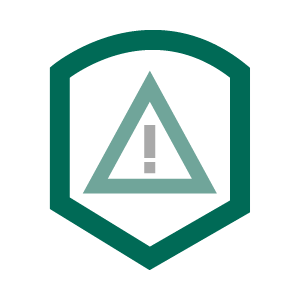 Protective Shield Icon