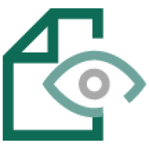 vulnerability icon