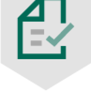 file icon