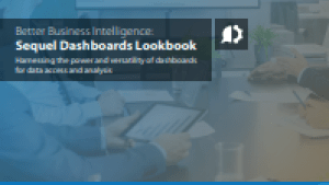 Business Intelligence Dashboards Guide