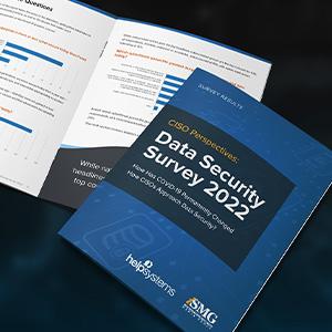 Data Security Survey Reveals Organizations Are More Cybersecure Than a Year Ago, but Threats Are Growing