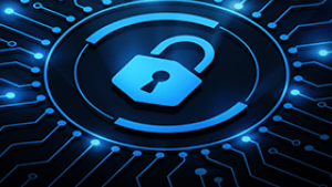Data Security 