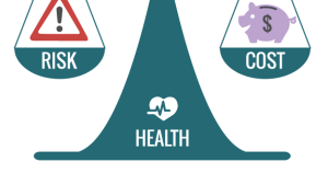 Scale of IT capacity planning tools that balance cost and risk