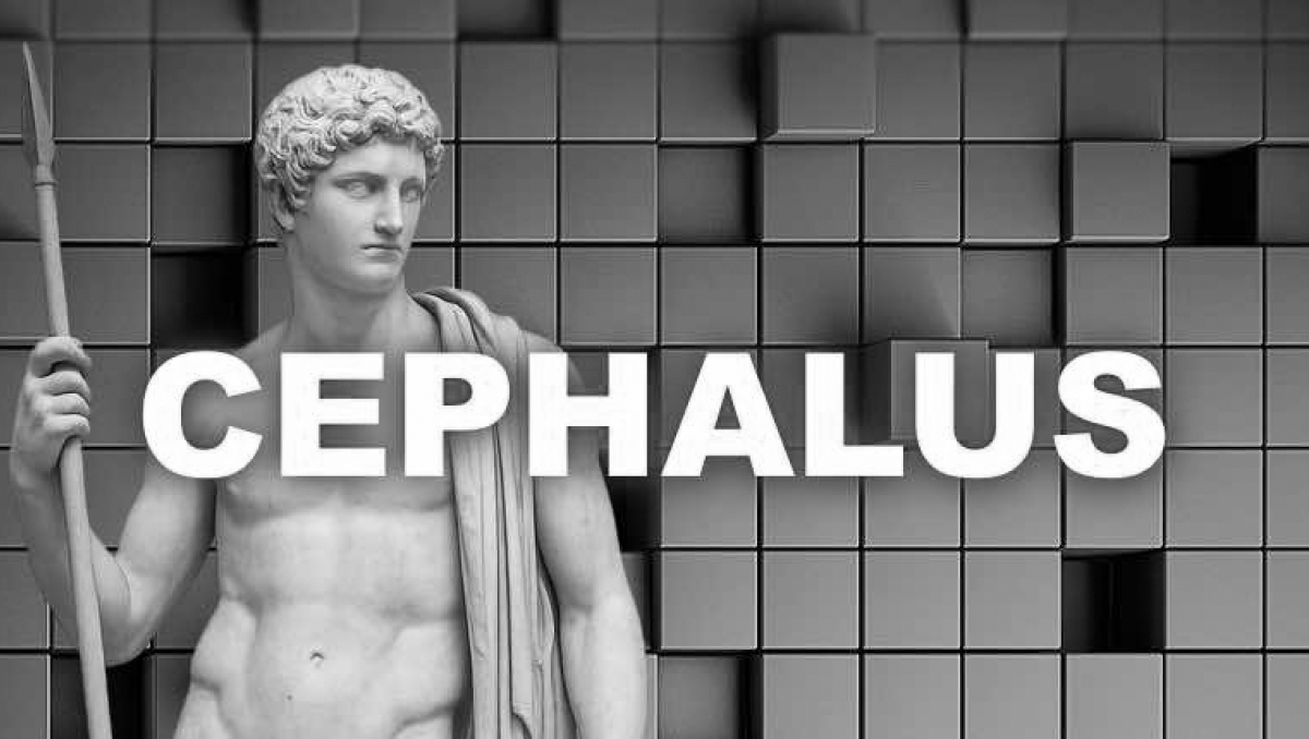 Cephalus ransomware: What it’s worthwhile to know