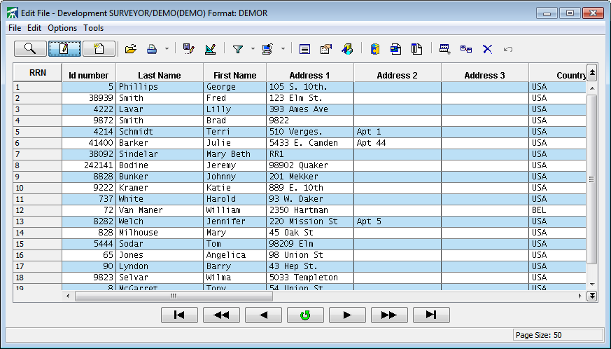 Surveyor/400 File Editor